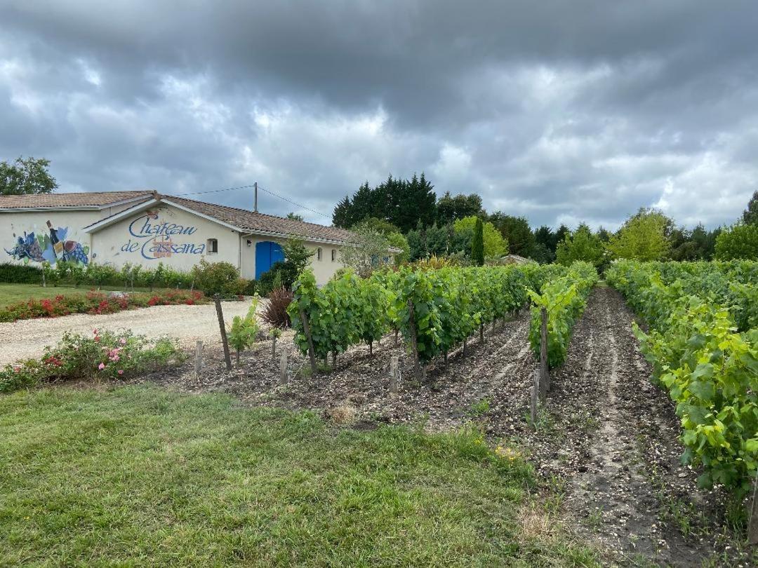 Domaine Du Cassana Βίλα Saint-Sauveur  Εξωτερικό φωτογραφία